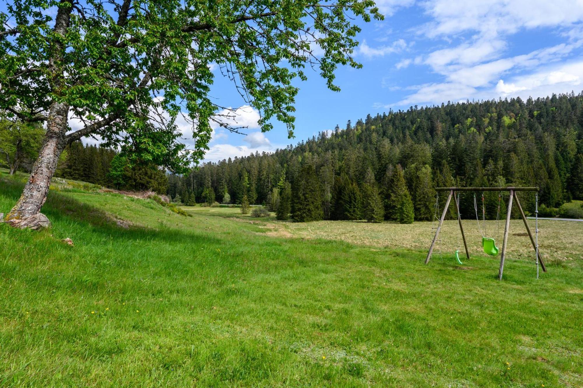 Gite La Ramee Ban-sur-Meurthe-Clefcy Zewnętrze zdjęcie